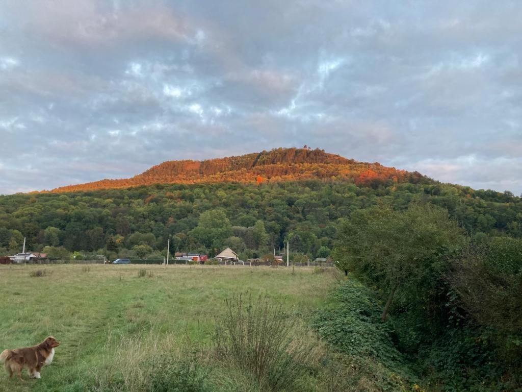Jena Paradies Exteriér fotografie